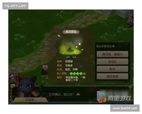梦幻诛仙侠义值系统全面解析与高效提升玩法深度攻略 梦幻诛仙侠义值系统全面解析与高效提升玩法深度攻略